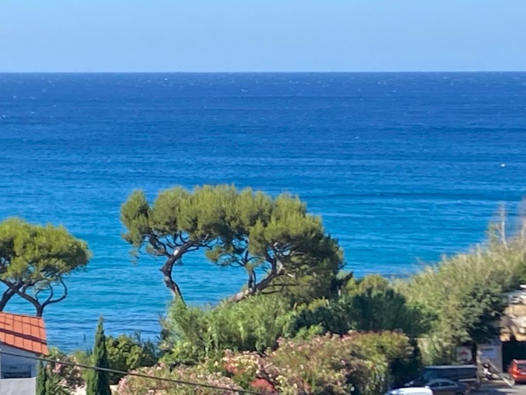 Face A La Mer, Cassis Et Son Cap Canaille Exterior foto